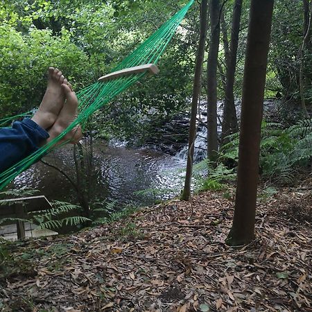 Quinta das Águias Aveiro Esterno foto