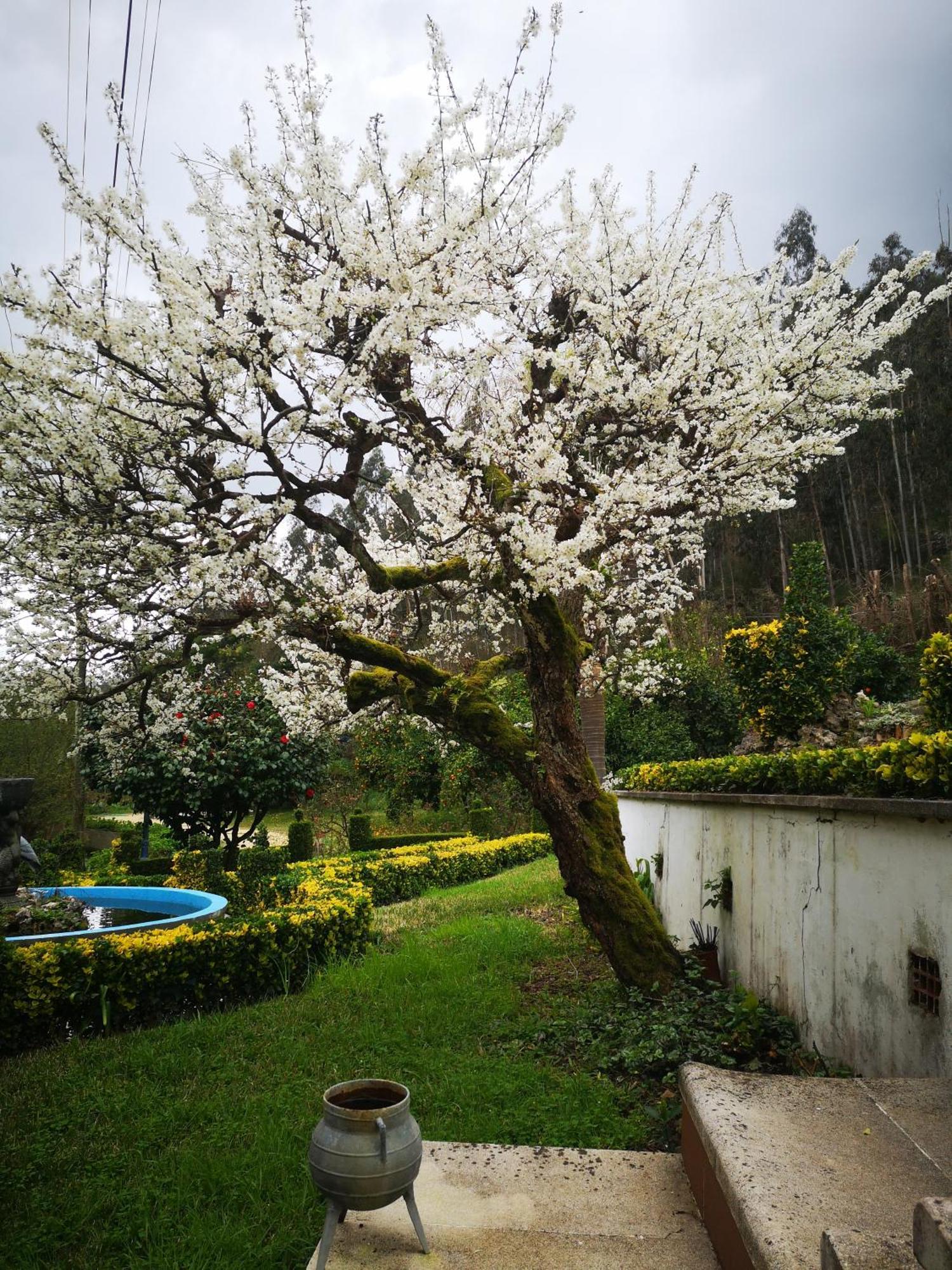 Quinta das Águias Aveiro Esterno foto