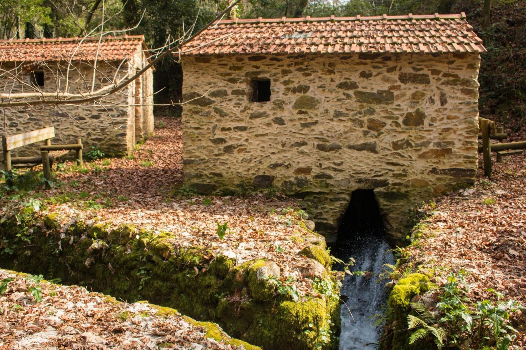Quinta das Águias Aveiro Esterno foto