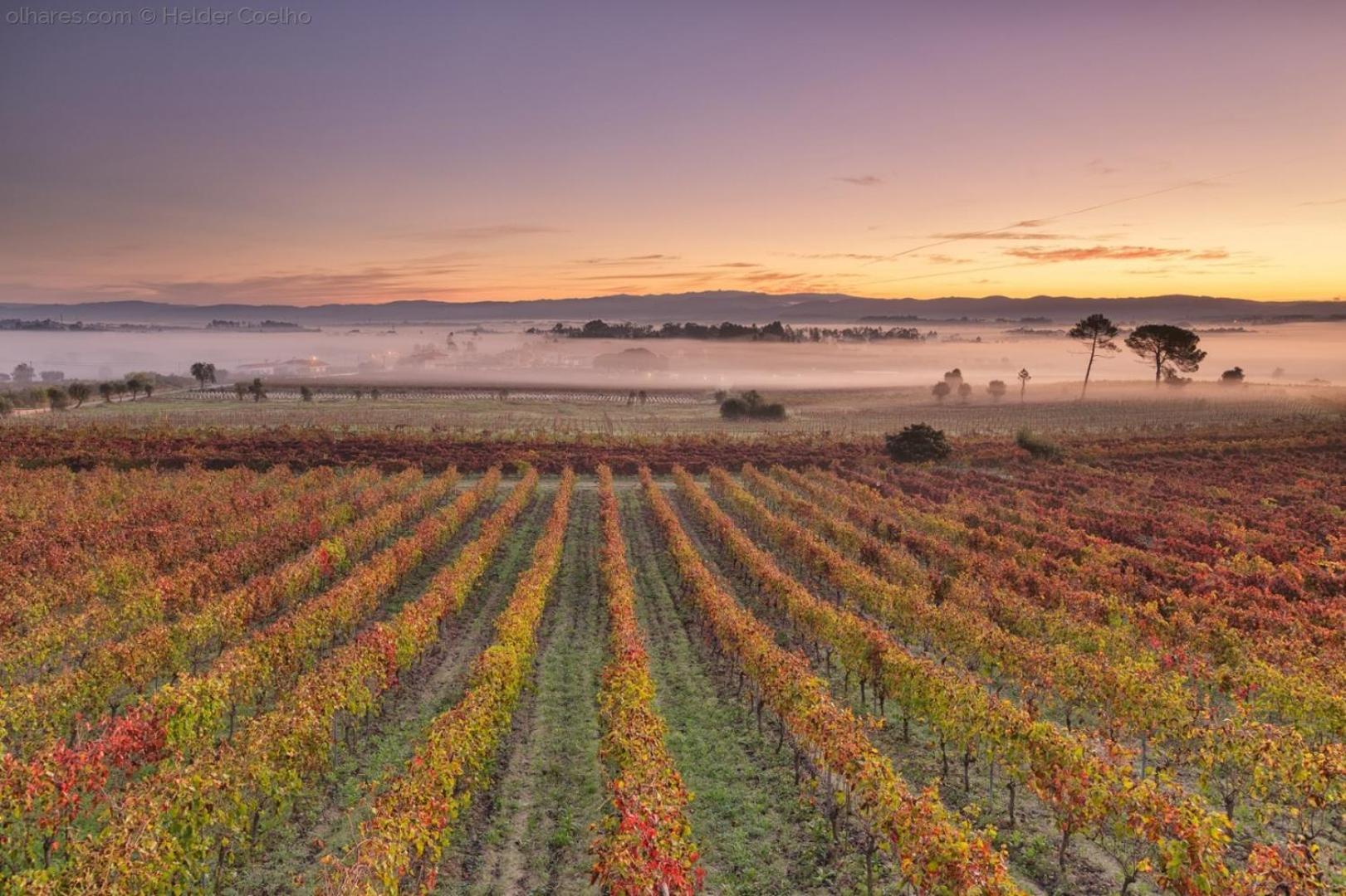 Quinta das Águias Aveiro Esterno foto