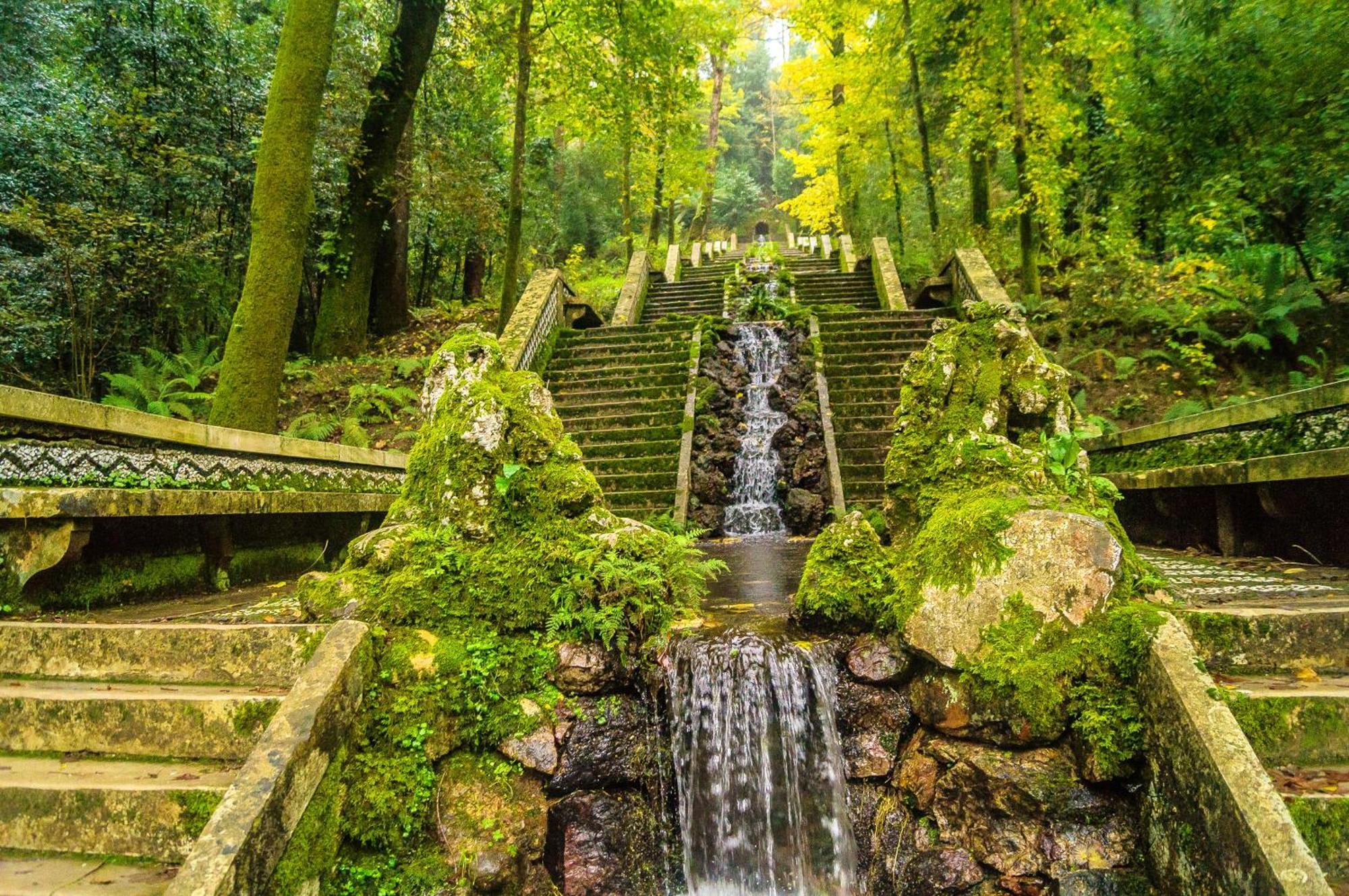Quinta das Águias Aveiro Esterno foto