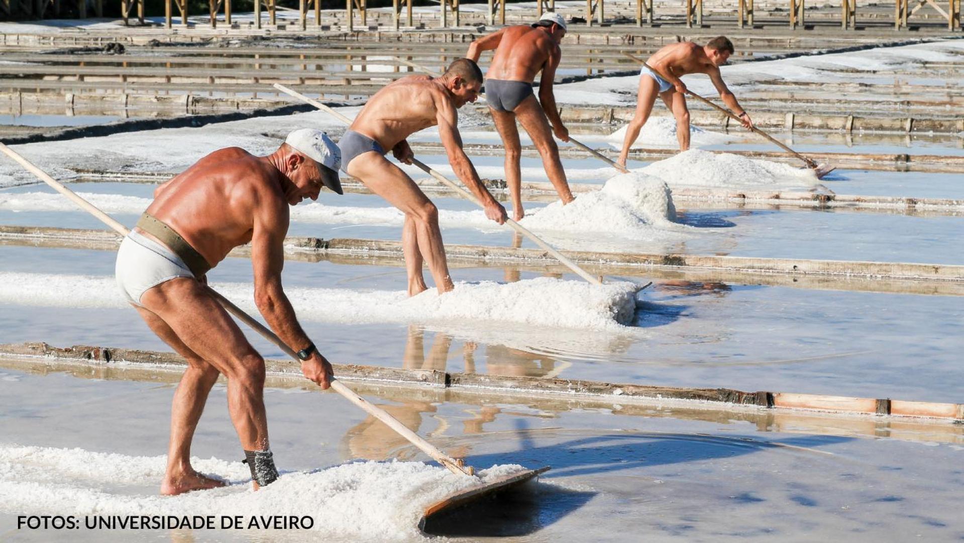 Quinta das Águias Aveiro Esterno foto
