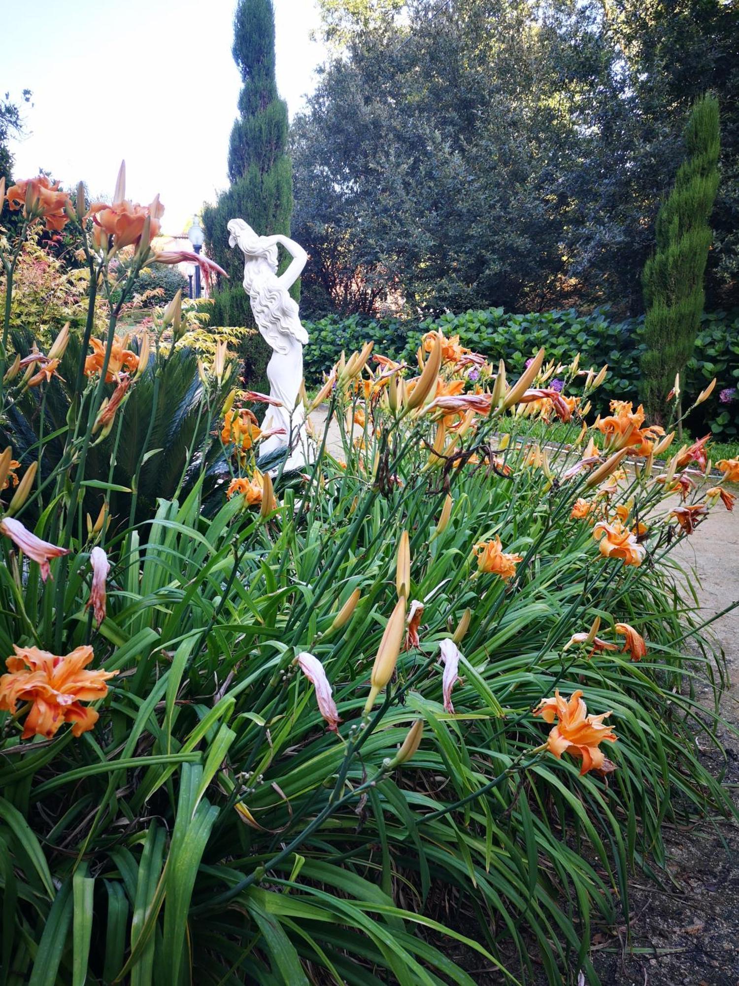 Quinta das Águias Aveiro Esterno foto