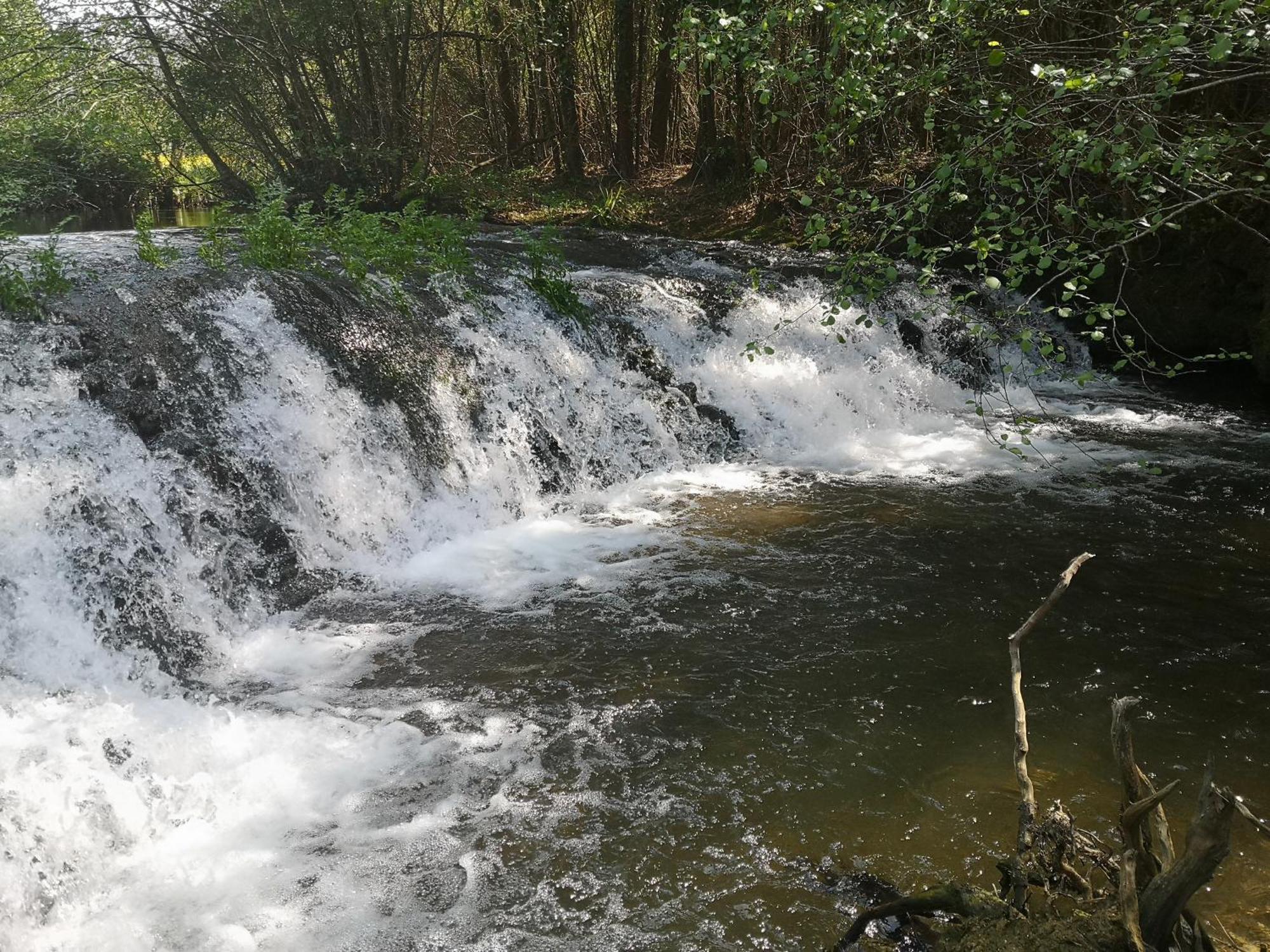 Quinta das Águias Aveiro Esterno foto