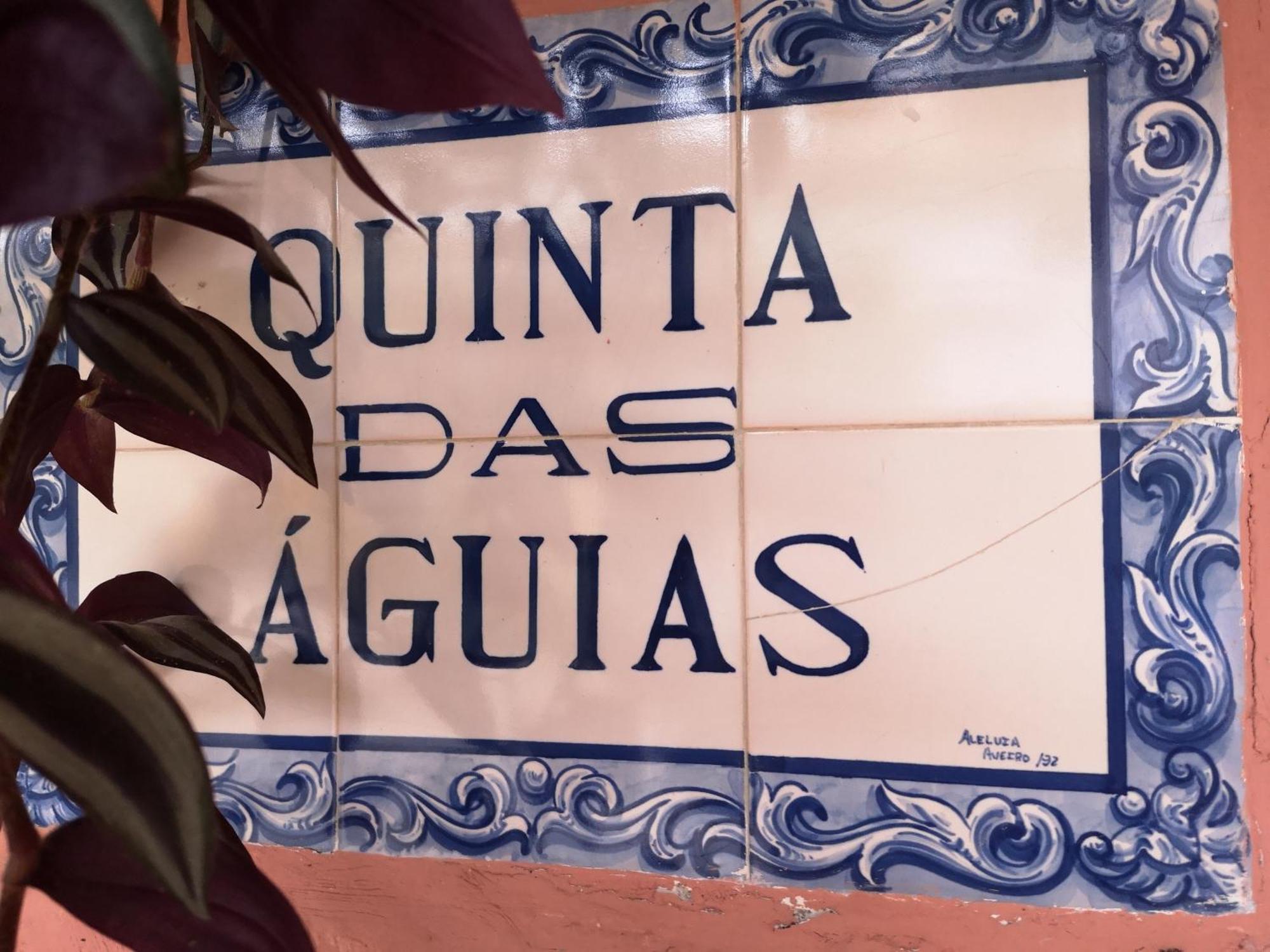 Quinta das Águias Aveiro Esterno foto