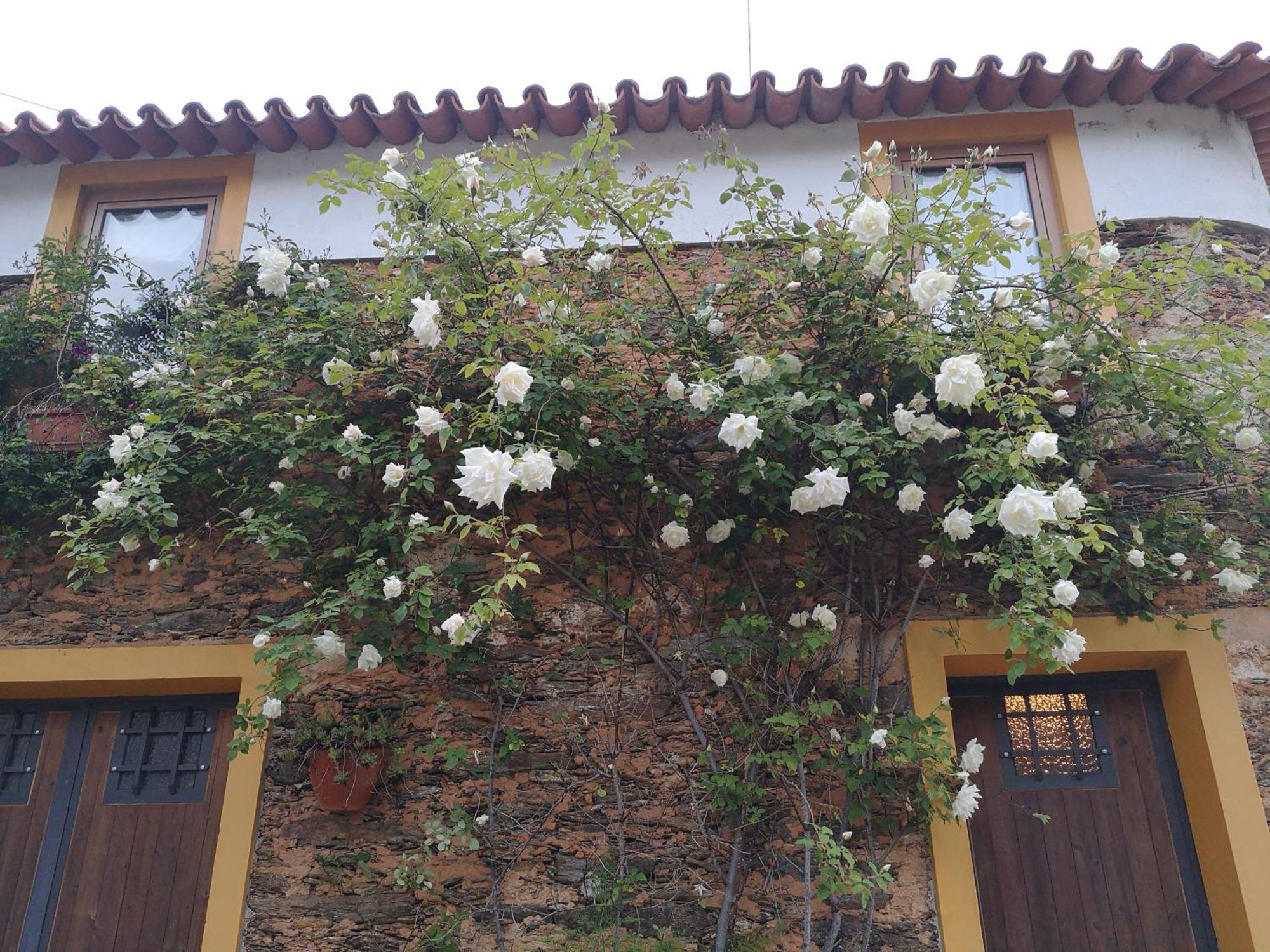 Quinta das Águias Aveiro Esterno foto