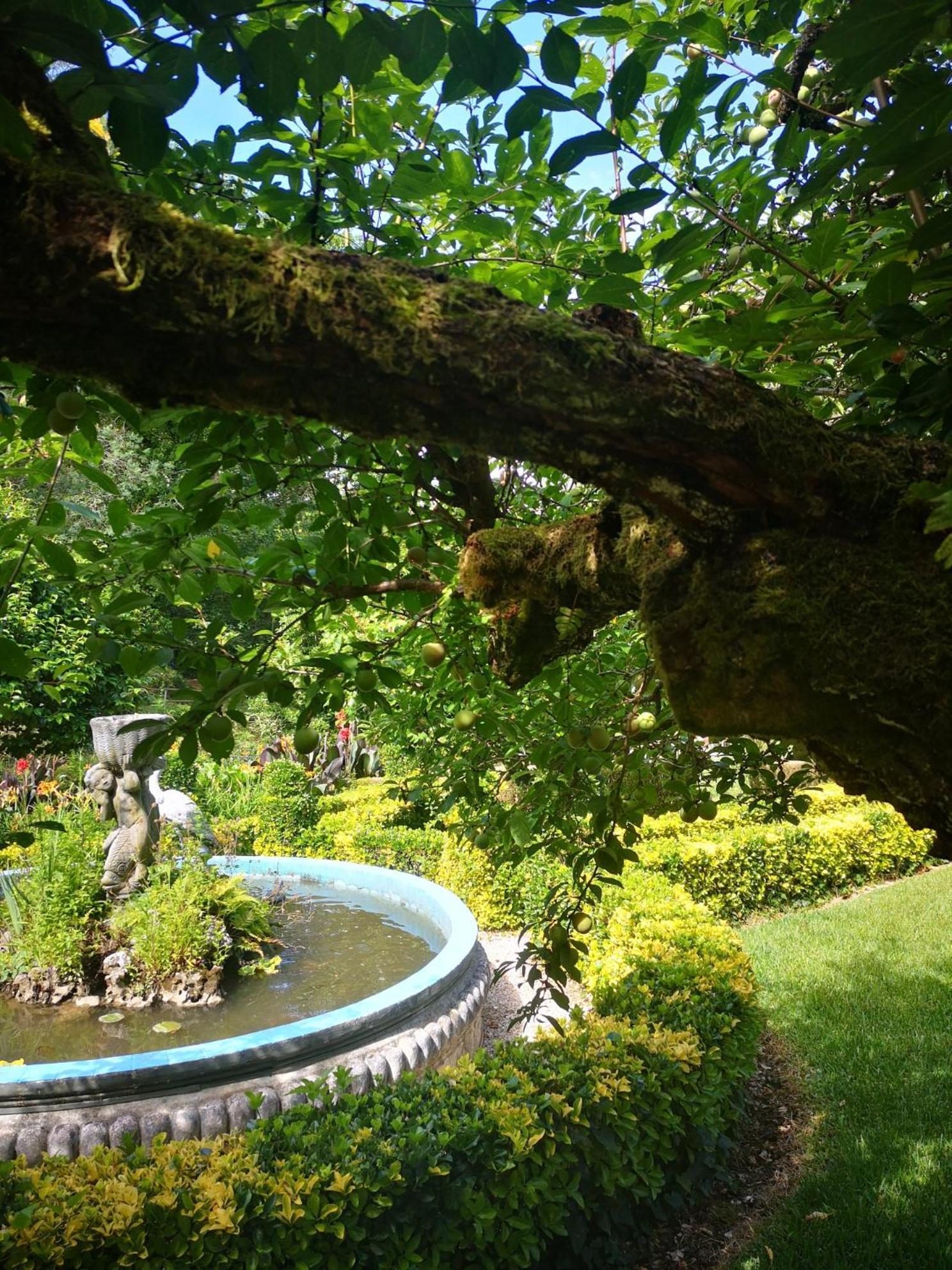 Quinta das Águias Aveiro Esterno foto